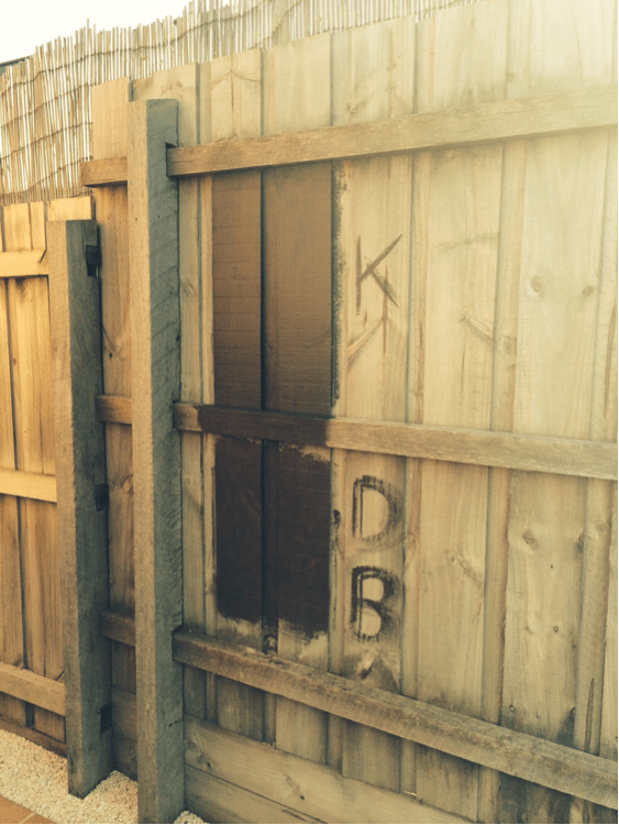 DULUX DOUBLE BASS TRIAL