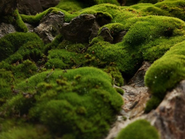 Crafting Tranquility: How Lisa Elliott Interior Design Partners with Builders and Architects to Elevate Luxury Spaces – A Case Study of the Aurora Wellness&nbsp;Centre