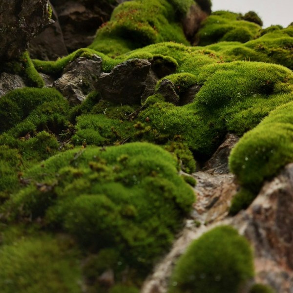 Crafting Tranquility: How Lisa Elliott Interior Design Partners with Builders and Architects to Elevate Luxury Spaces – A Case Study of the Aurora Wellness&nbsp;Centre